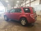 2008 Ford Escape Limited