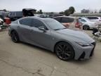 2024 Lexus IS 350 F Sport Design