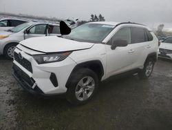 Salvage cars for sale from Copart Antelope, CA: 2020 Toyota Rav4 LE