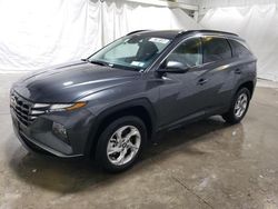 Salvage cars for sale at Walton, KY auction: 2024 Hyundai Tucson SEL