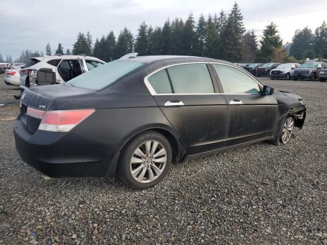 2011 Honda Accord EXL