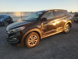 2018 Hyundai Tucson SEL en venta en Fredericksburg, VA