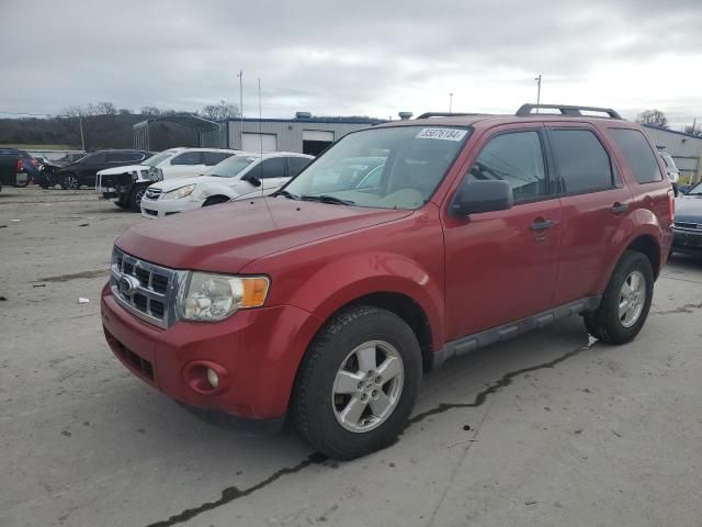 2010 Ford Escape XLT