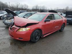 Salvage cars for sale at Marlboro, NY auction: 2009 Toyota Camry Base