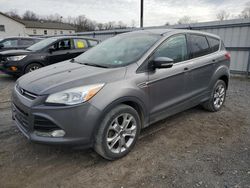 Ford Vehiculos salvage en venta: 2013 Ford Escape SEL