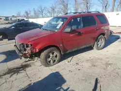 Salvage cars for sale at Bridgeton, MO auction: 2010 Ford Escape XLT