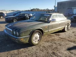 Jaguar xj Vehiculos salvage en venta: 1995 Jaguar Vandenplas