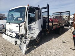 Salvage trucks for sale at Haslet, TX auction: 2007 Isuzu NPR