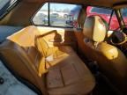 1982 Volkswagen Rabbit L Custom