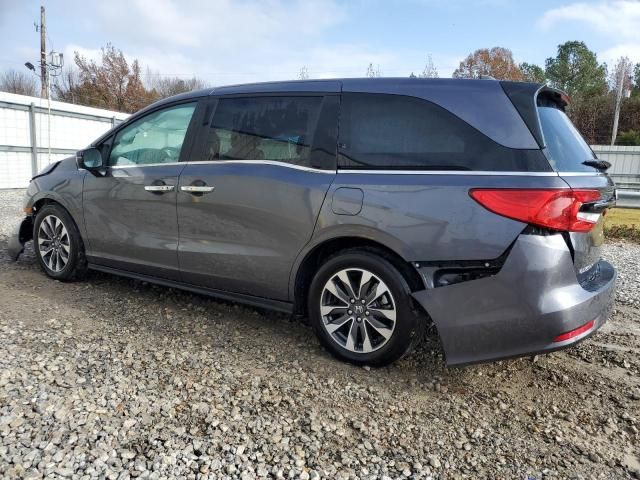 2024 Honda Odyssey EXL