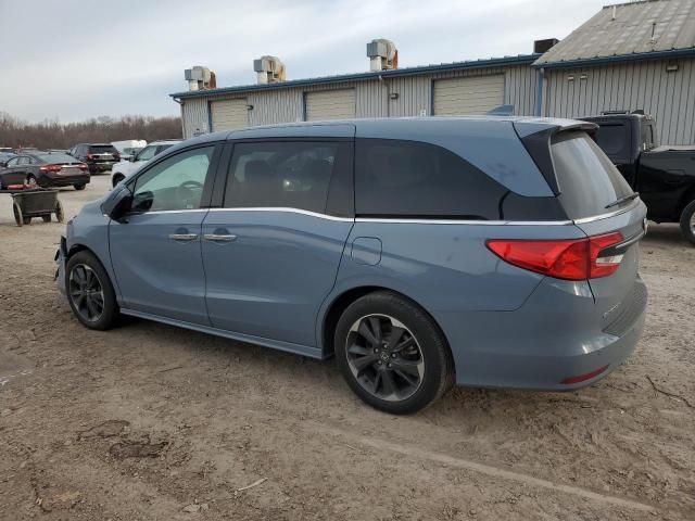 2024 Honda Odyssey Elite