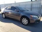 2008 Toyota Camry Hybrid