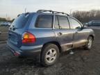 2003 Hyundai Santa FE GL