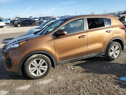 Salvage cars for sale at Indianapolis, IN auction: 2019 KIA Sportage LX