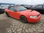 2001 Ford Mustang GT