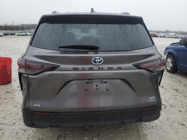 2024 Toyota Sienna XLE