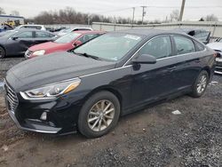 Hyundai Sonata se Vehiculos salvage en venta: 2019 Hyundai Sonata SE