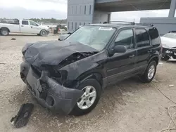 Salvage cars for sale at West Palm Beach, FL auction: 2006 Ford Escape XLT