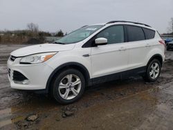 Ford salvage cars for sale: 2014 Ford Escape SE