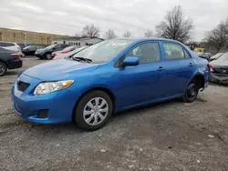 Salvage cars for sale at Laurel, MD auction: 2010 Toyota Corolla Base