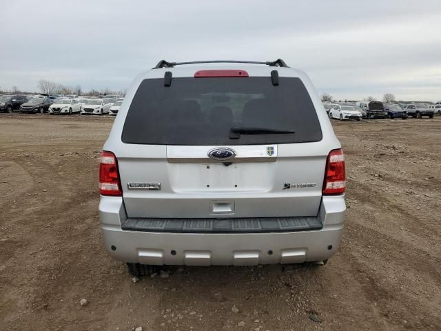 2010 Ford Escape Hybrid