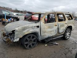 Salvage cars for sale at Baltimore, MD auction: 2008 Cadillac Escalade Luxury