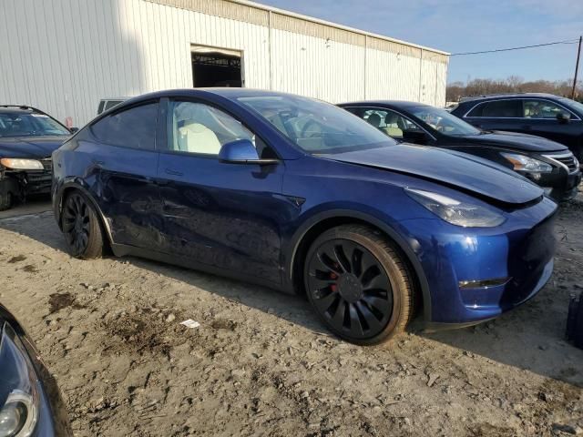 2024 Tesla Model Y