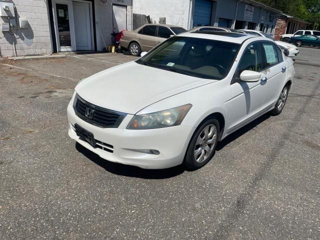 2010 Honda Accord EXL