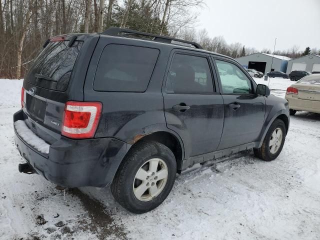 2010 Ford Escape XLT