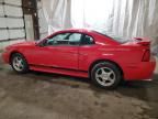 2004 Ford Mustang