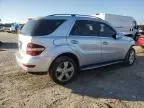 2010 Mercedes-Benz ML 350