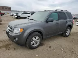 Ford Escape Vehiculos salvage en venta: 2012 Ford Escape XLT