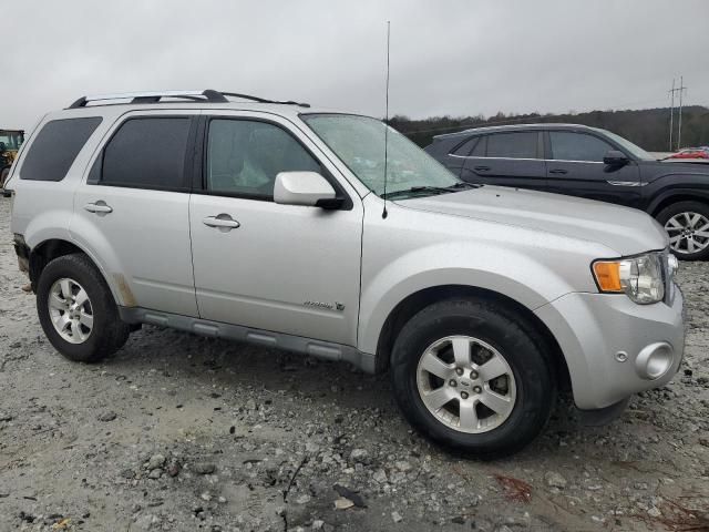 2010 Ford Escape Hybrid