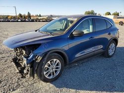 Ford salvage cars for sale: 2022 Ford Escape SE