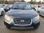 2010 Hyundai Santa FE SE