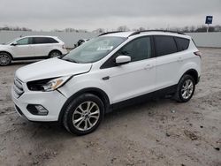 Salvage cars for sale at Lexington, KY auction: 2018 Ford Escape SE