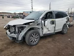 2019 Honda Pilot EXL en venta en Colorado Springs, CO