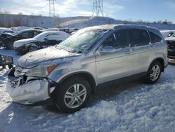 Salvage cars for sale at Littleton, CO auction: 2010 Honda CR-V EXL