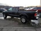 2002 Dodge Dakota Quad Sport