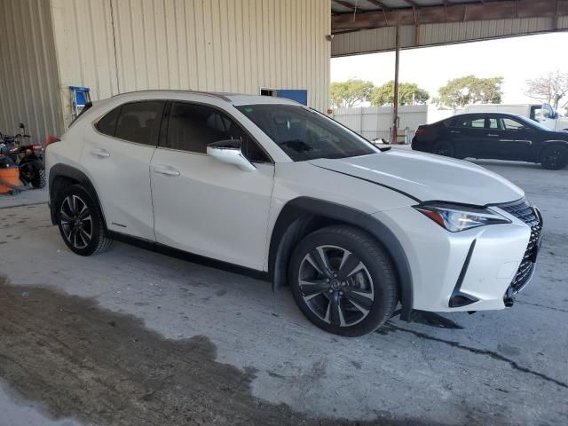 2021 Lexus UX 250H