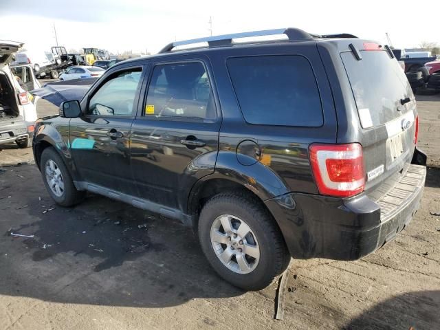 2011 Ford Escape Limited