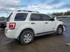 2008 Ford Escape XLT