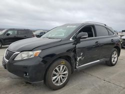 Lexus salvage cars for sale: 2010 Lexus RX 350