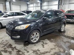 Ford Escape salvage cars for sale: 2014 Ford Escape Titanium