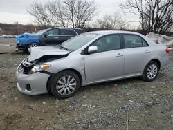 Toyota Corolla salvage cars for sale: 2012 Toyota Corolla Base