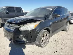 Ford Escape Vehiculos salvage en venta: 2013 Ford Escape SEL