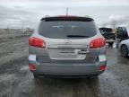 2007 Hyundai Santa FE SE