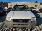 2001 Ford Escape XLT