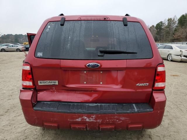 2008 Ford Escape XLT