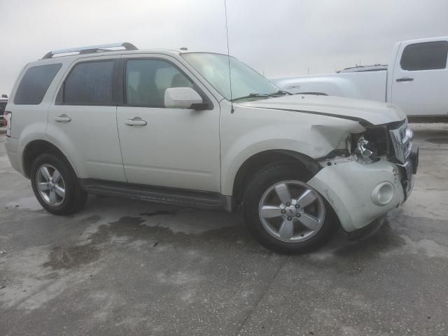 2009 Ford Escape Limited